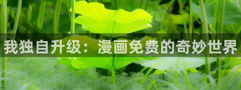 好看歪歪漫画：我独自升级：漫画免费的奇妙世界